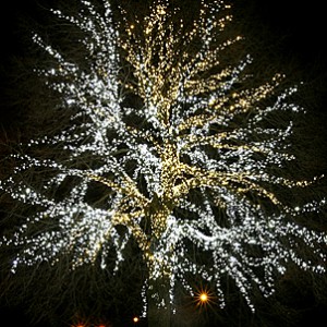 img_ovrigauppdrag2